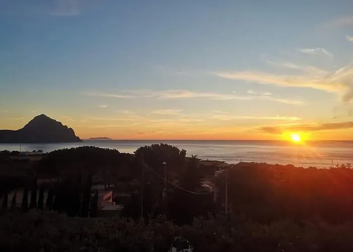 Daire Makari Sweet Sunsets